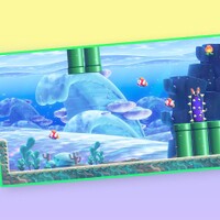 The Play Nintendo Spring break adventures! question 3 answer 4.