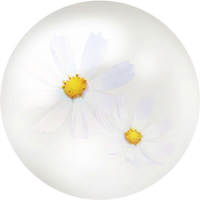 White cosmos nectar icon.png