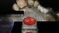 Some Gold Nuggets, the Memory Fragment (Top Left), a sizzling floor, a paper bag, and a clay mound on sublevel two.