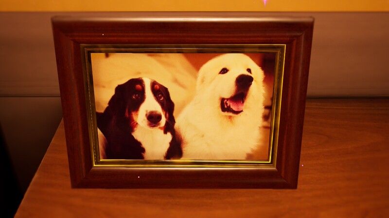 File:P4 Buddy Display closeup.jpg