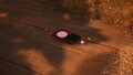 The treasure being carried by two Red Pikmin.