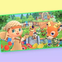 The Play Nintendo Spring break adventures! question 2 Chat with the locals answer.