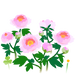 Texture for White peony flowers on the map in Pikmin Bloom.