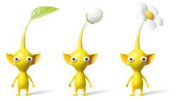 The three maturity stages of a Yellow Pikmin.