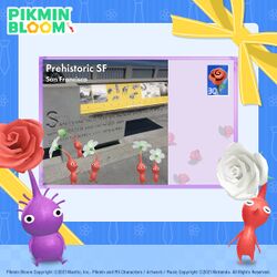 Celebratory events are on! Here's to 2 years of Pikmin Bloom!