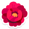 Lifelog artwork of a red peony from Pikmin Bloom.