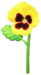Icon for yellow pansy Big Flowers.