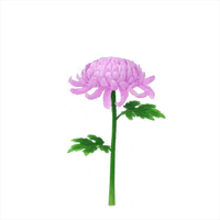 Red mum Big Flower icon.png