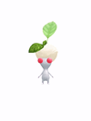 An animation of a White Pikmin with a piece of cheese from Pikmin Bloom.