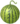 A watermelon, one of Pikmin Bloom's giant fruits.