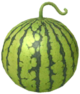 Watermelon icon.png