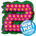New Play Control! Pikmin 2