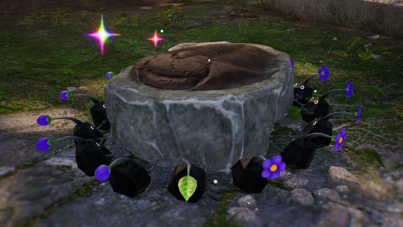 File:P4 Slipper-Bug Fossil carried.jpg