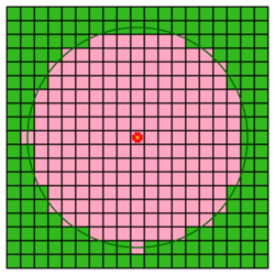 A diagram illustrating the receptive grid surrounding a Big Flower.