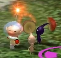 The rebel Mushroom Pikmin glitch.