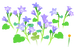 Texture for blue bellflower flowers on the map in Pikmin Bloom.