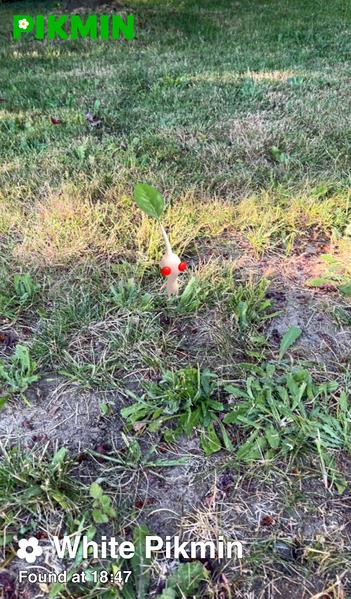 File:Pikmin Finder White Pikmin.png