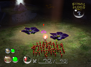 The two Violet Candypop Buds in Emergence Cave sublevel 2.