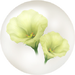 Yellow prairie gentian nectar icon.png