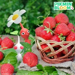 Promotional image for the 2024 Spring Sticker Decor Pikmin event. It features a Red and White Pikmin next to a basket of strawberries.