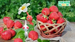 Promotional image for the 2024 Spring Sticker Decor Pikmin event. It features a Red and White Pikmin next to a basket of strawberries.