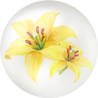 Yellow lily nectar icon.png