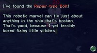 Repair-type Bolt 2.jpg