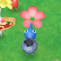 Blueberry Pikmin Bloom.png