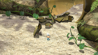 Page 1 of the second unique hint in the Tropical Wilds in Pikmin 3 Deluxe.