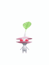 An animation of a White Pikmin with a Shell from Pikmin Bloom.