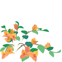 Yellow bougainvillea flowers icon.png