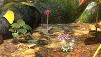 Page 2 of the second unique hint in the Twilight River in Pikmin 3 Deluxe.