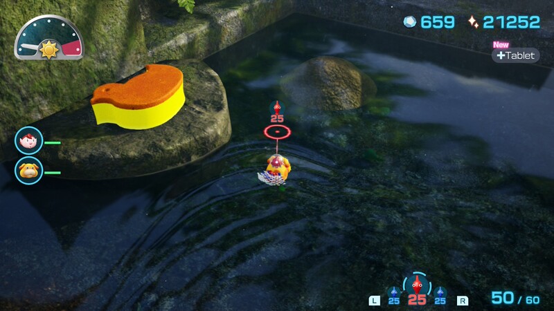 File:P4 Birdy Bed location.jpg