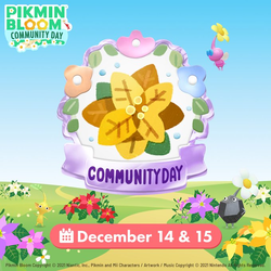 Promotional image for the December 2024 Community Day.