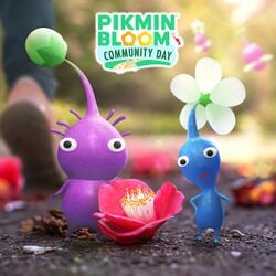 Promotional image for the January 2022 Community Day in Pikmin Bloom.