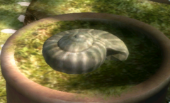 Olimarnite Shell - Pikipedia, the Pikmin wiki