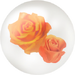 Yellow anniversary rose nectar from Pikmin Bloom.