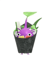 An animation of a Purple Pikmin with a Sushi from Pikmin Bloom