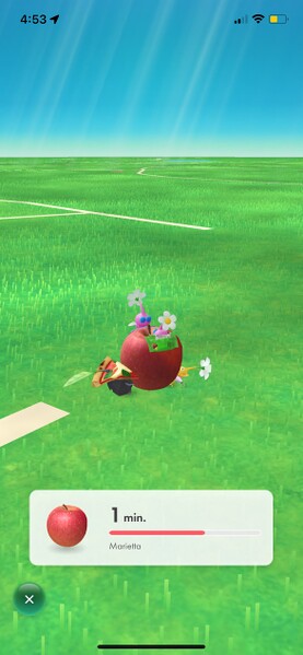 File:Pikmin Bloom Fruit.jpg