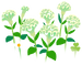Texture for white celosia flowers on the map in Pikmin Bloom.