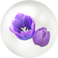 Blue tulip nectar icon.png