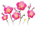 Red plum blossom flowers icon.png