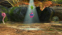 Winged Pikmin leaf P3 first.png