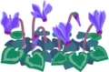 Blue cyclamen flowers icon.png
