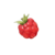 Icon for the Juicy Gaggle, from Pikmin 4's Treasure Catalog.