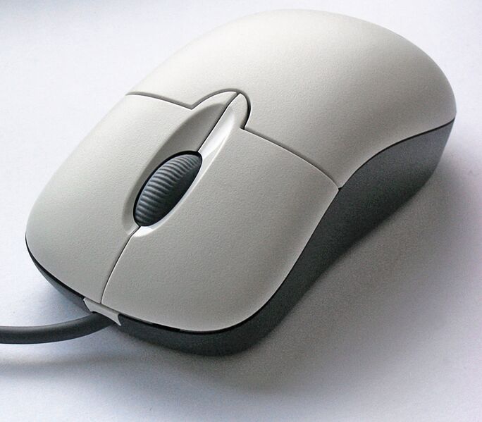 File:Real Computer Mouse.jpg