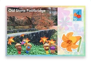 A Big Flower Postcard that was obtained by using petals to bloom a Big Flower automatically in Pikmin Bloom.