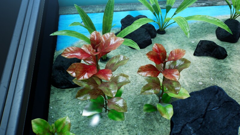 File:Variegated Croton.jpg