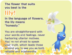 The lily result, from the Pikmin Bloom Flower Personality Quiz.