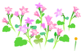 Thumbnail for version as of 02:39, June 2, 2026